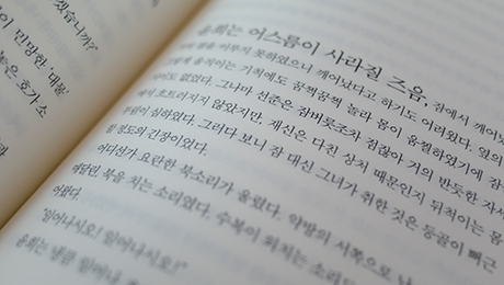 How to learn Korean vocabulary faster